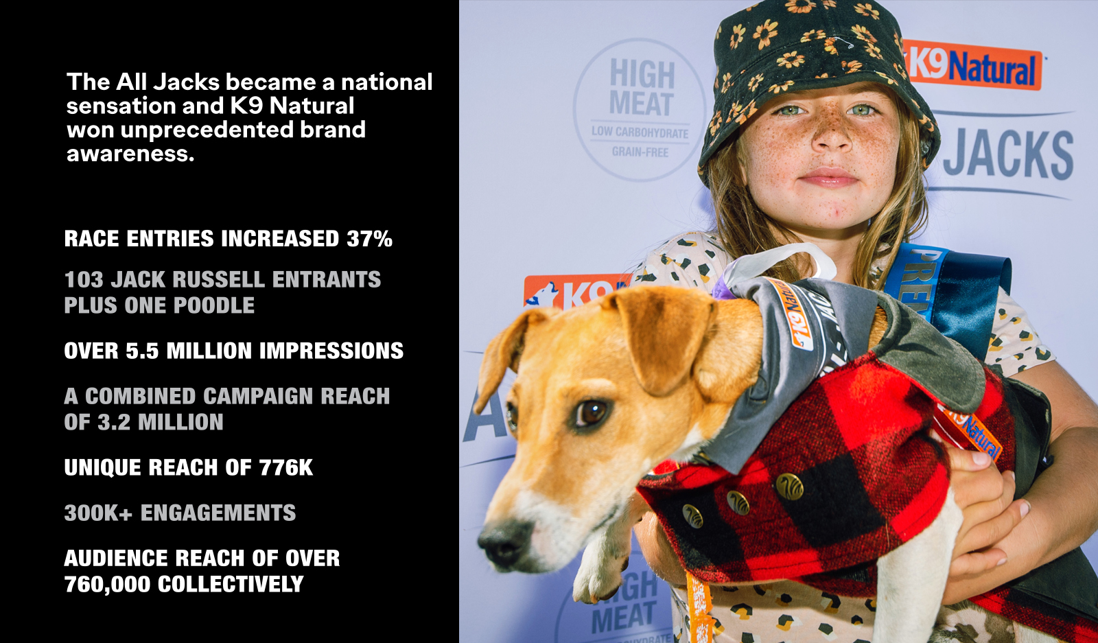 K9ALLJACKSRes_1600x937